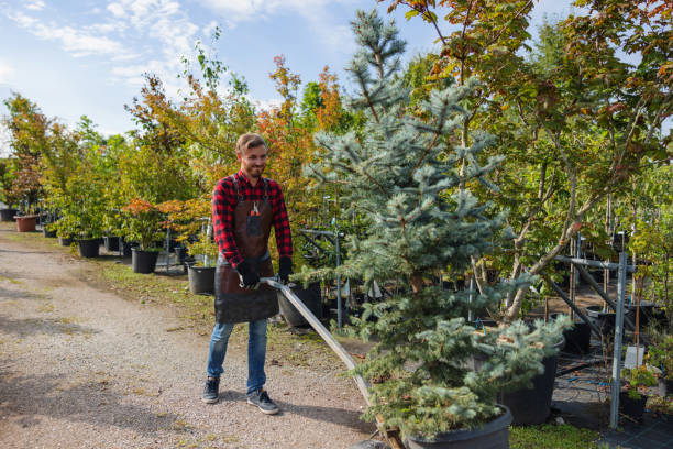 Best Seasonal Cleanup (Spring/Fall)  in Willow, AK